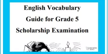 Grade 05 English Language - Vocabulary