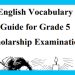 Grade 05 English Language - Vocabulary