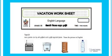 Grade 05 English Language - Vacation Worksheet