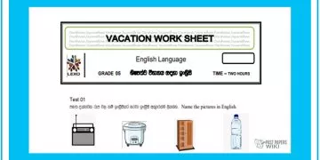 Grade 05 English Language - Vacation Worksheet