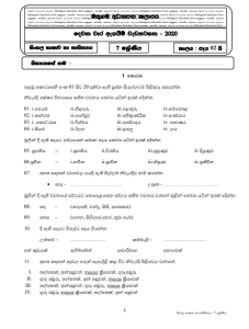 grade 7 essay sinhala