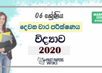Grade 06 Science 2nd Term Test Paper 2020 with answers for Sinhala Medium students