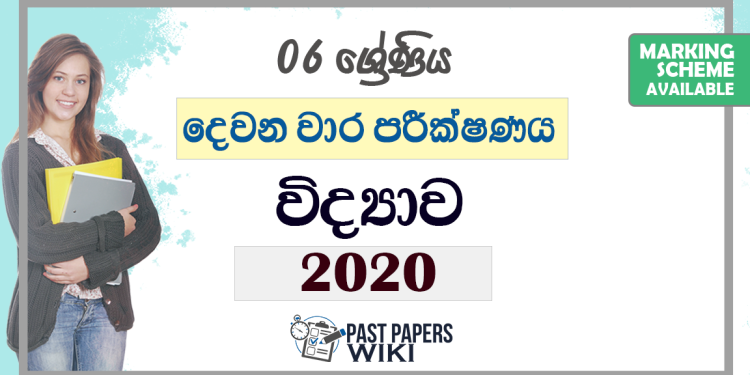 Grade 06 Science 2nd Term Test Paper 2020 with answers for Sinhala Medium students