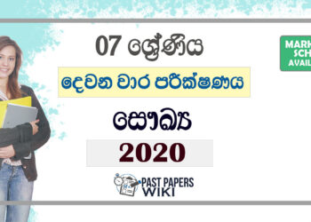 Grade 07 Health Second Term Test Paper with Answers 2020