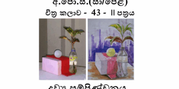 Grade 11 Art Drawya Sampindanaya (Drawya Bala Adeema)