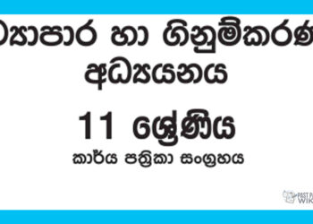 Grade 11 Accounting Workbook with Unit Test Papers(Sinhala Medium)