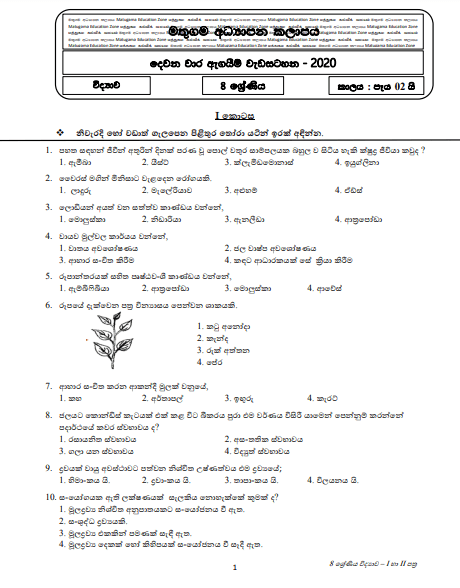 case study for class 8 science with answers pdf