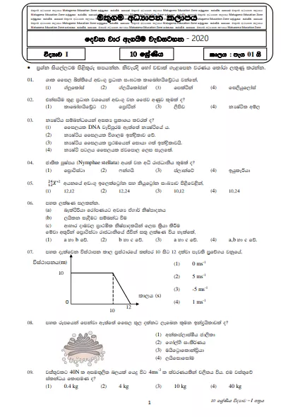 Grade 10 Science Second Term Test Paper with Answers 2020