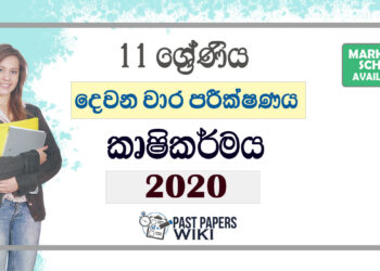 Grade 11 Agriculture Second Term Test Paper with Answers 2020