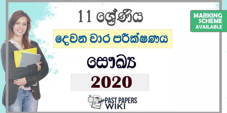 Grade 11 Health Second Term Test Paper with Answers 2020