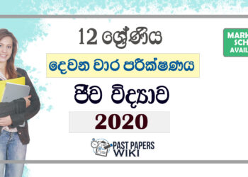 Grade 12 Biology Second Term Test Paper with Answers 2020