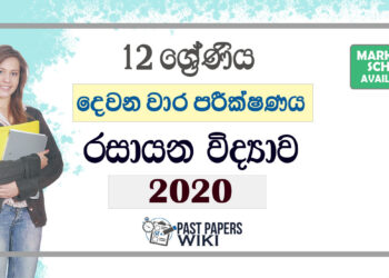 Grade 12 Chemistry Second Term Test Paper with Answers 2020