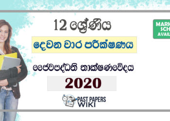 Grade 12 Bio System Technology Second Term Test Paper with Answers 2020