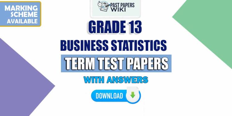 Grade 13 Business statistics Term Test Papers