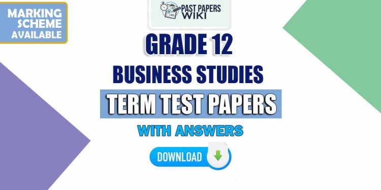 Grade 12 Business Studies Term Test Papers
