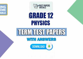 Grade 12 Physics Term Test Papers