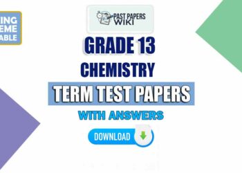 Grade 13 Chemistry Term Test Papers