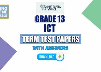 Grade 13 Information And Communication Technology Term Test Papers