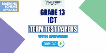 Grade 13 Information And Communication Technology Term Test Papers