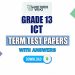 Grade 13 Information And Communication Technology Term Test Papers