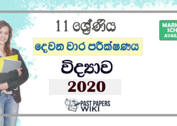 Grade 11 Science Second Term Test Paper with Answers 2020