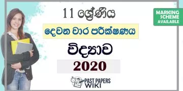 Grade 11 Science Second Term Test Paper with Answers 2020