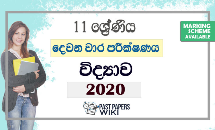 Grade 11 Science Second Term Test Paper with Answers 2020