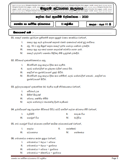 Grade 11 Health Second Term Test Paper with Answers 2020