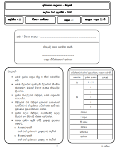 mathematics assignment grade 11 term 2