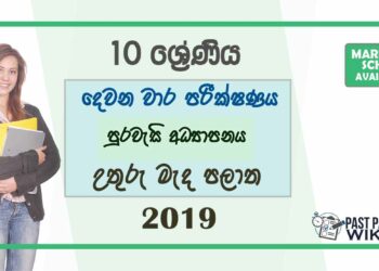 Grade 10 Civic Education 2nd Term Test Paper with Answers 2019 - Sinhala Medium | North Central Province