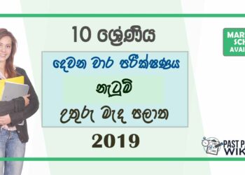 Grade 10 Dancing 2nd Term Test Paper with Answers 2019 - Sinhala Medium | North Central Province