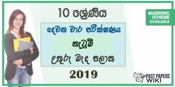 Grade 10 Dancing 2nd Term Test Paper with Answers 2019 - Sinhala Medium | North Central Province