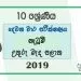 Grade 10 Dancing 2nd Term Test Paper with Answers 2019 - Sinhala Medium | North Central Province