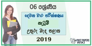 Grade 06 Dancing 2nd Term Test Paper 2019 - Sinhala Medium | North Central Province