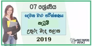 Grade 07 Dancing 2nd Term Test Paper 2019 - Sinhala Medium | North Central Province