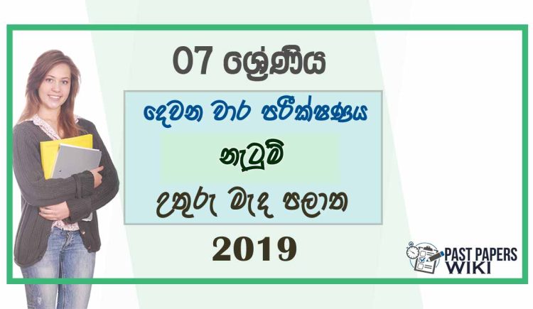 Grade 07 Dancing 2nd Term Test Paper 2019 - Sinhala Medium | North Central Province