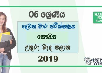 Grade 06 Health 2nd Term Test Paper With Answers 2019 - Sinhala Medium | North Central Province