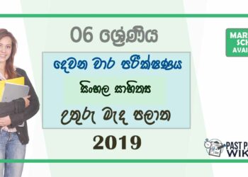 Grade 06 Sinhala Literature 2nd Term Test Paper With Answers 2019 | North Central Province
