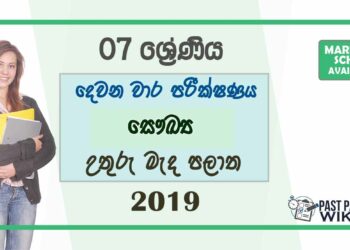 Grade 07 Health 2nd Term Test Paper With Answers 2019 - Sinhala Medium | North Central Province