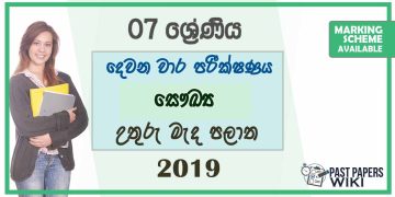 Grade 07 Health 2nd Term Test Paper With Answers 2019 - Sinhala Medium | North Central Province