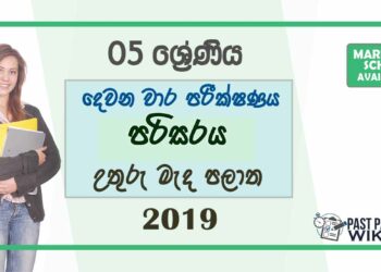 Grade 05 Environment 2nd Term Test Paper with Answers 2019 - Sinhala Medium | North Central Province
