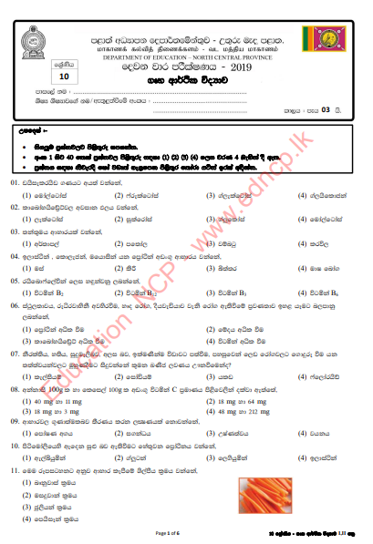 Grade 10 Home Science 2nd Term Test Paper With Answers 2019 - Sinhala Medium | North Central Province