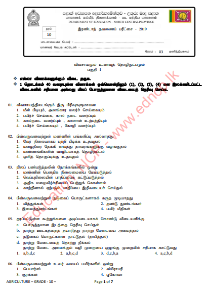 Grade 10 Health 2nd Term Test Paper With Answers 2019 - Tamil Medium | North Central Province