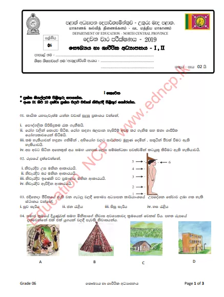 Grade 06 Health 2nd Term Test Paper With Answers 2019 - Sinhala Medium | North Central Province