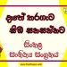 Dethe Karageta Simba Sanasannata O/L Sinhala Sahithya Vichara - Grade 11