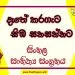Dethe Karageta Simba Sanasannata O/L Sinhala Sahithya Vichara - Grade 11