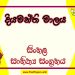 Diyamanthi Malaya O/L Sinhala Sahithya Vichara - Grade 11