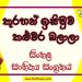 Kurahan Isimuwa Kaluwara Balala O/L Sinhala Sahithya Vichara - Grade 11