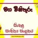 Maga Visithuru O/L Sinhala Sahithya Vichara - Grade 11