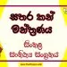 Sathara Kan Manthranaya O/L Sinhala Sahithya Vichara - Grade 10